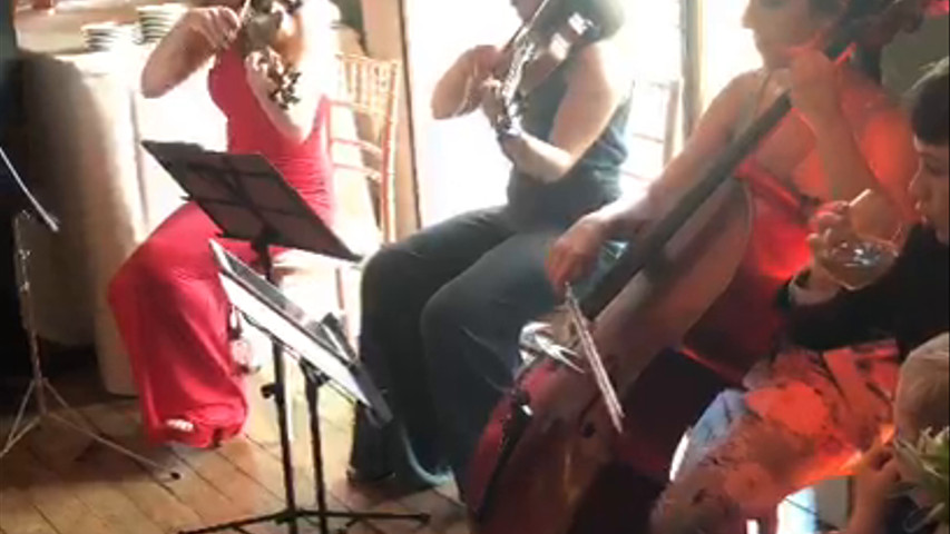 Can't Help Falling In Love - Wedding Reception