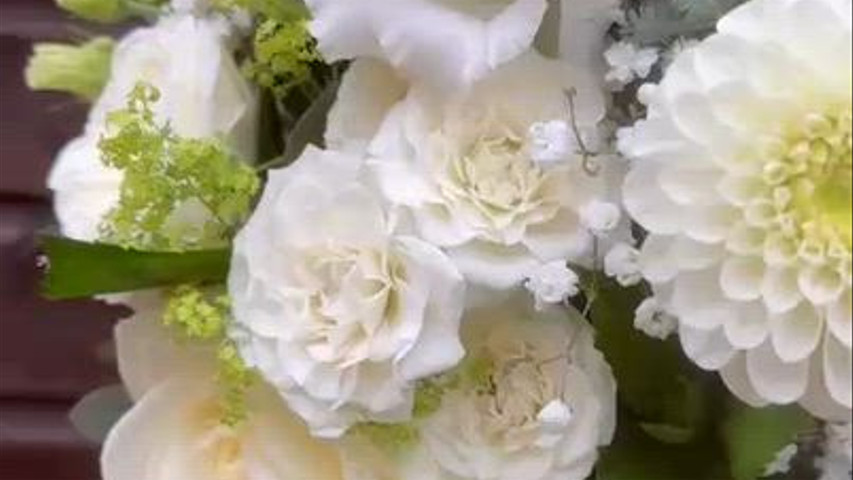 C02a19fd 8c77 4df1 b07f 9bdc72449891 178515471149769