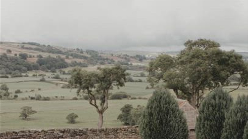 Your Dream Venue Awaits