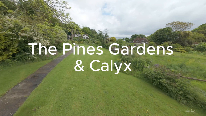 Pines Garden