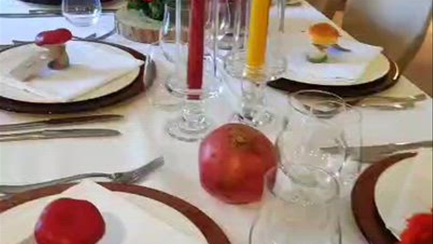 Pomegranates and oranges