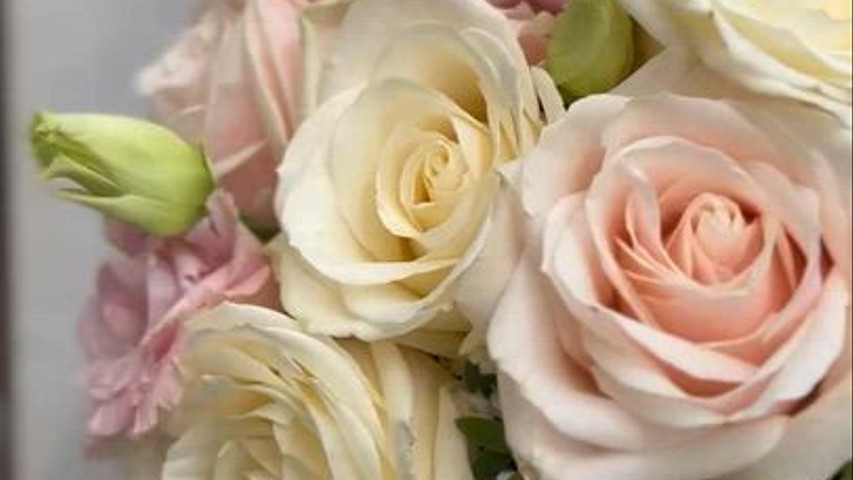 Classic White And Pink Roses
