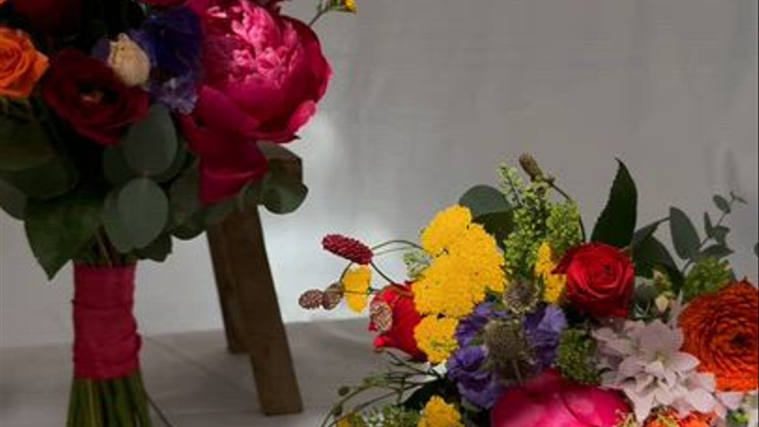 Warm and Brights