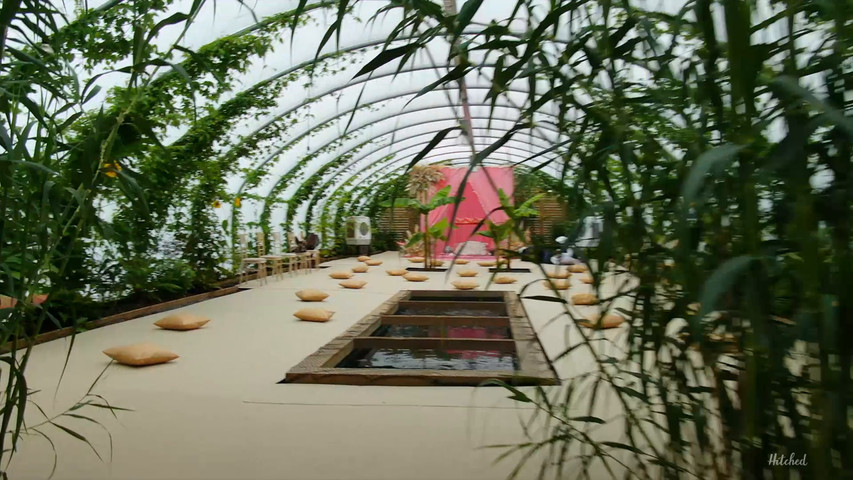 THE PLANT HOUSE at ANRÁN.