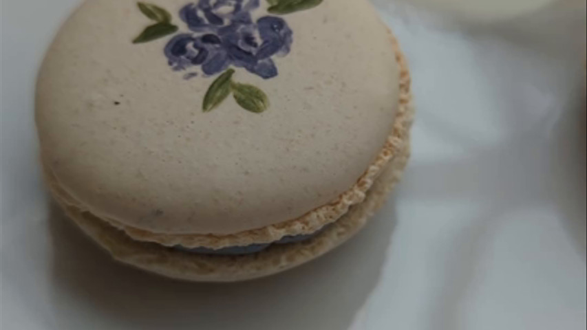 Hand Painted Macarons