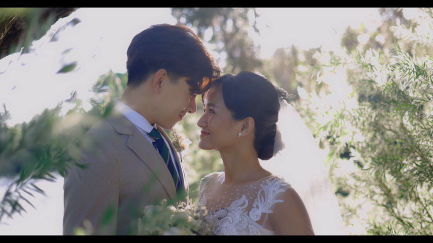 "Forever & Always: A Cinematic Love stories"