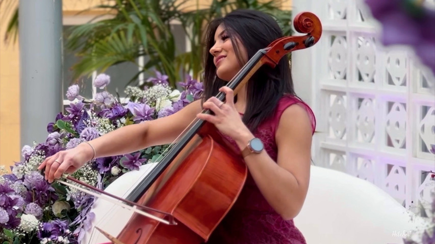 Bollywood Cellist