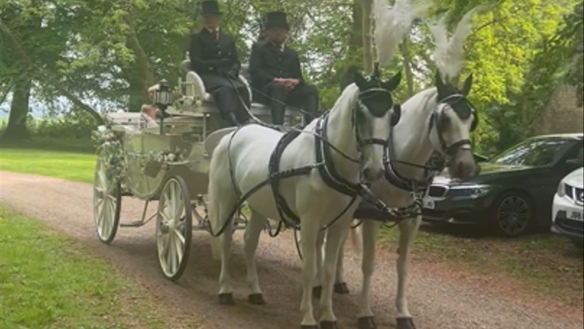 Beautiful bride arriving in a horse and carriage 💞