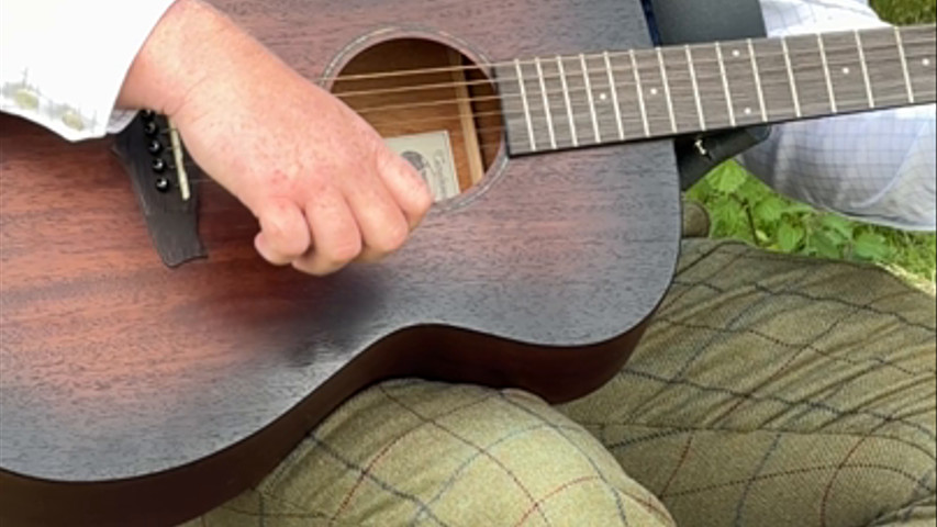 Guitar in the meadow