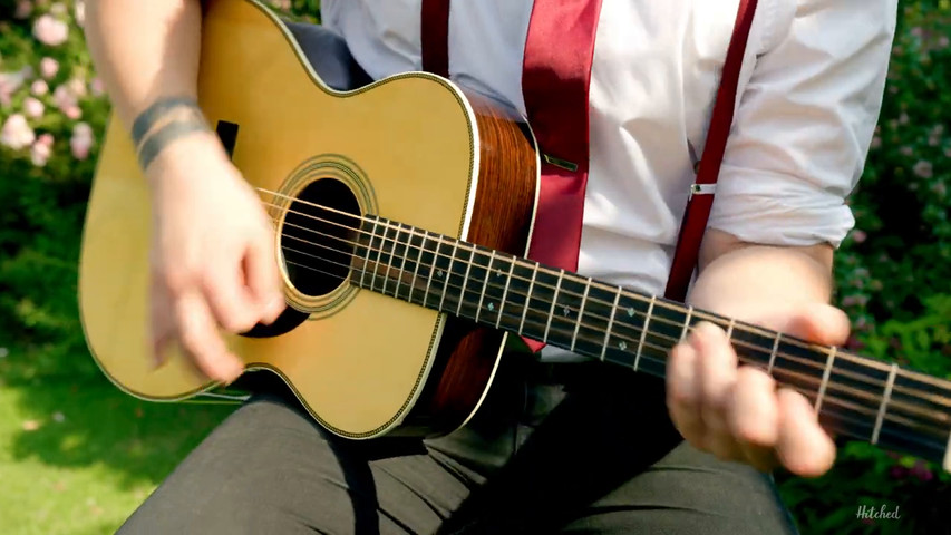 Dreams (Acoustic Trio) - The Big Fat Party Band