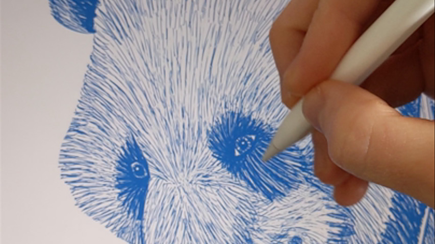 Drawing a panda