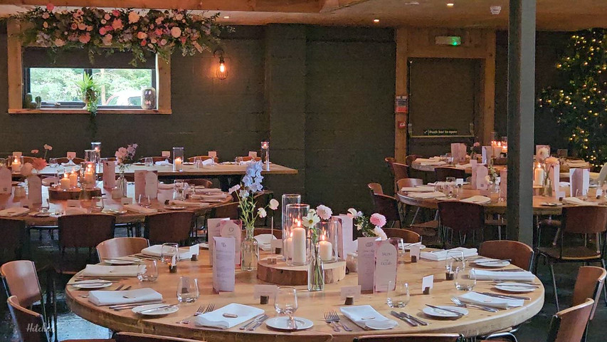 The Forest Room 