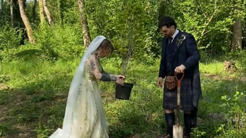 Planting A Tree
