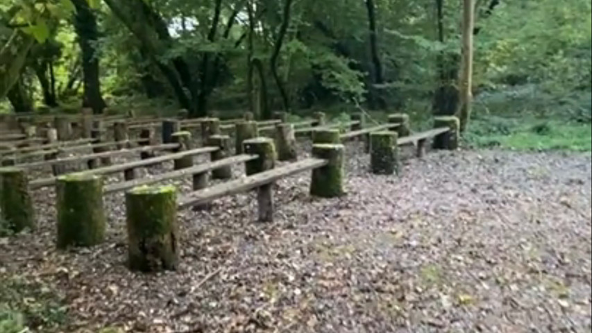 Here's How 3 Couples Decorated The Woods at Oakley