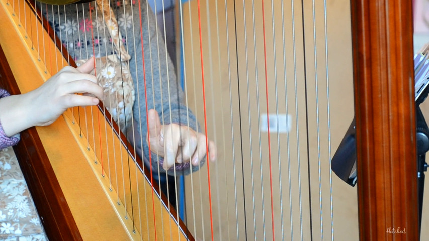 Cardiff Wedding Harpist