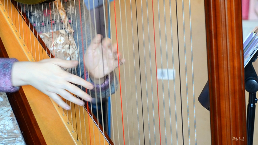 Cardiff Wedding Harpist