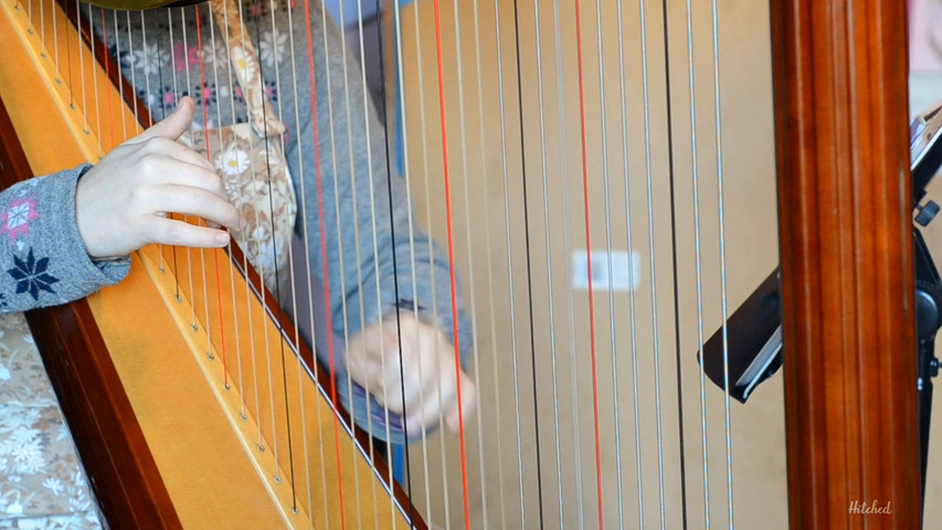 Cardiff Wedding Harpist