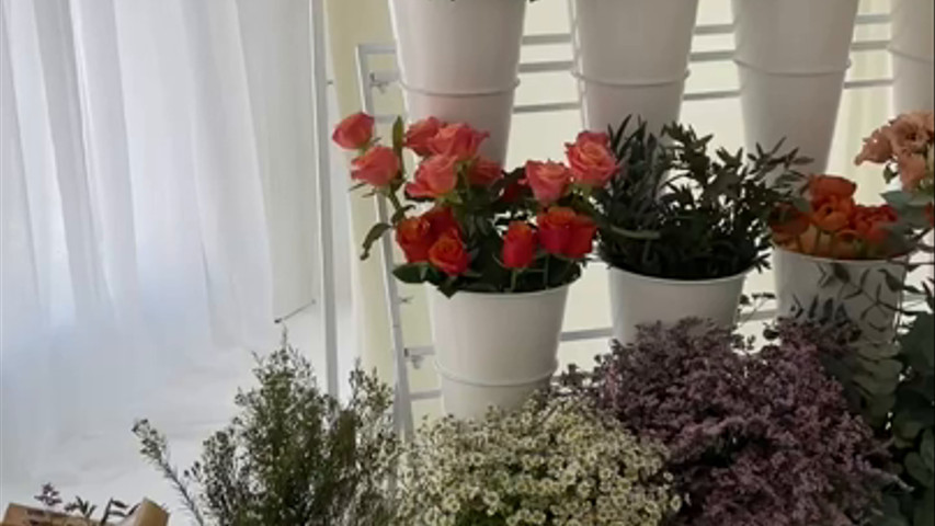 Bloom Bar