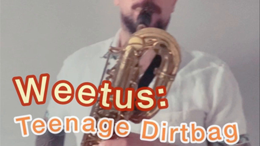 Weetus: Teenage Dirtbag