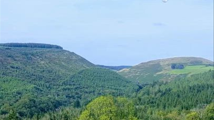 Cwtch Ceremonies Vocal Reel