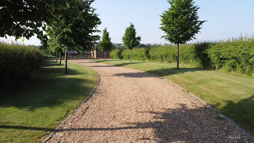 Tree lined drive