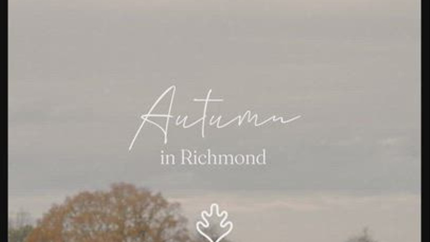Autumn in Richmond