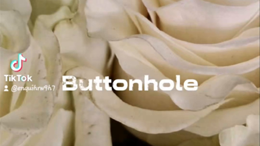 Buttonholes 