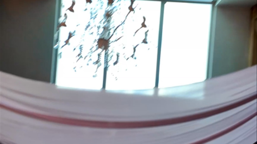 First Dance at  Blackwell Grange