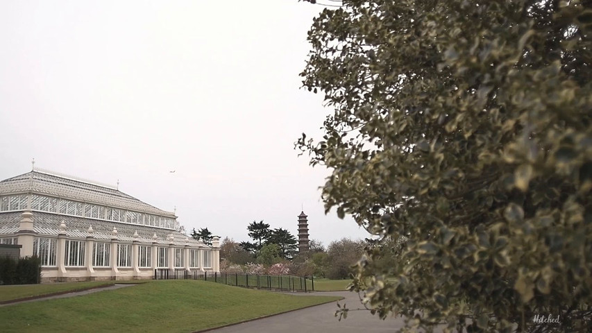 Wedding Film in London