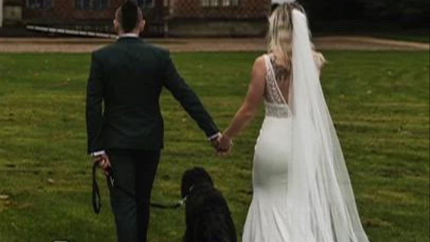Paws and Veil Co - Dog Wedding Chaperone