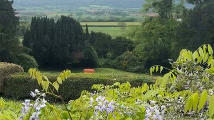 Wedding at barley wood canapes bbq 178594415127623