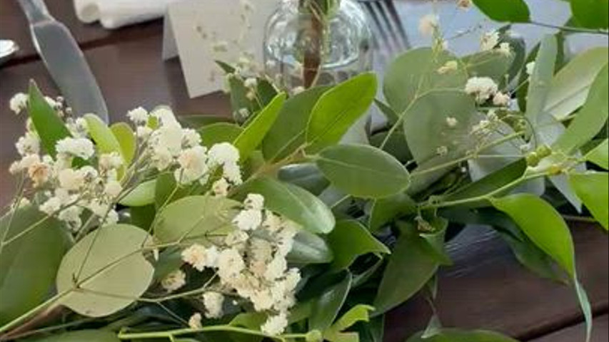 Pocket Rose Flowers