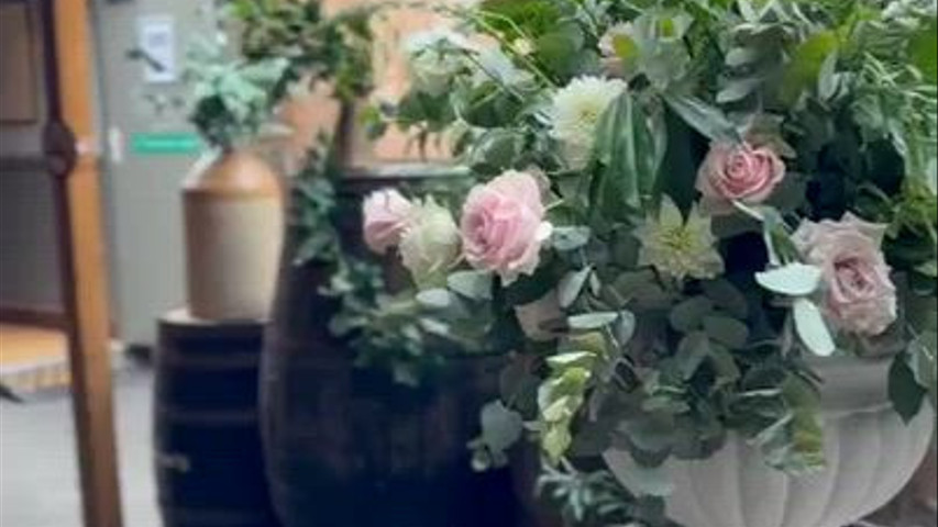 Pocket Rose Flowers