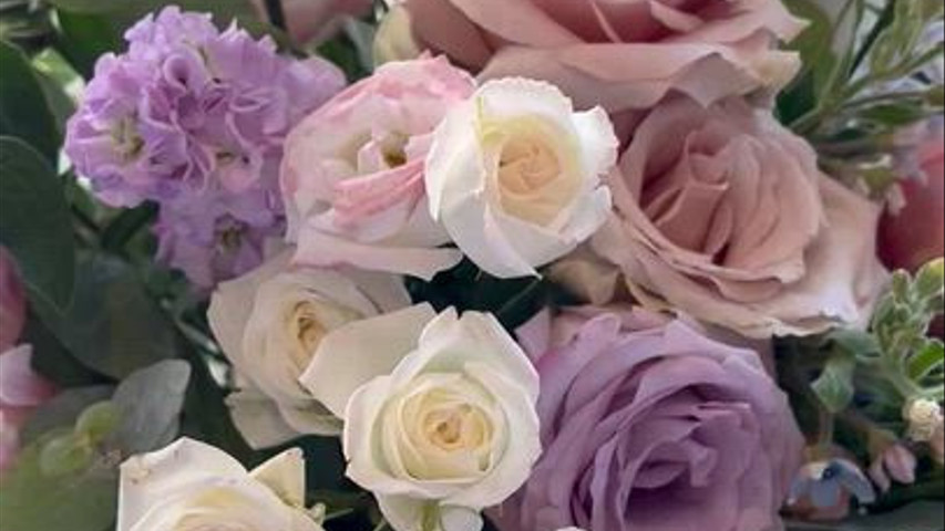 Pocket Rose Flowers