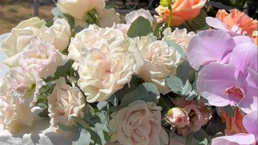 Pocket Rose Flowers