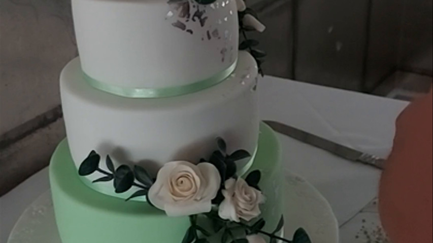 Mint green wedding cake