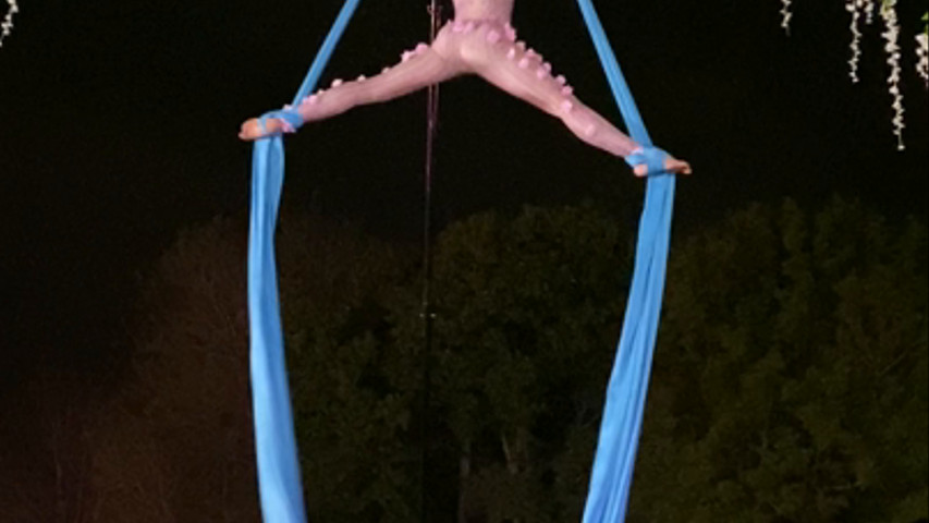 Silk Aerialist Performers