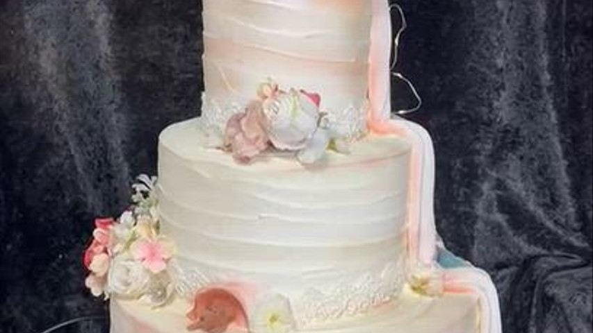 Disney Reveal Cakes on Revolving Stand Two