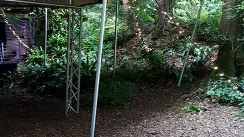 The Dance Pit