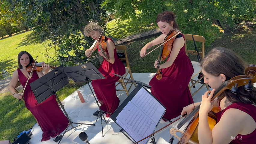 String Quartet