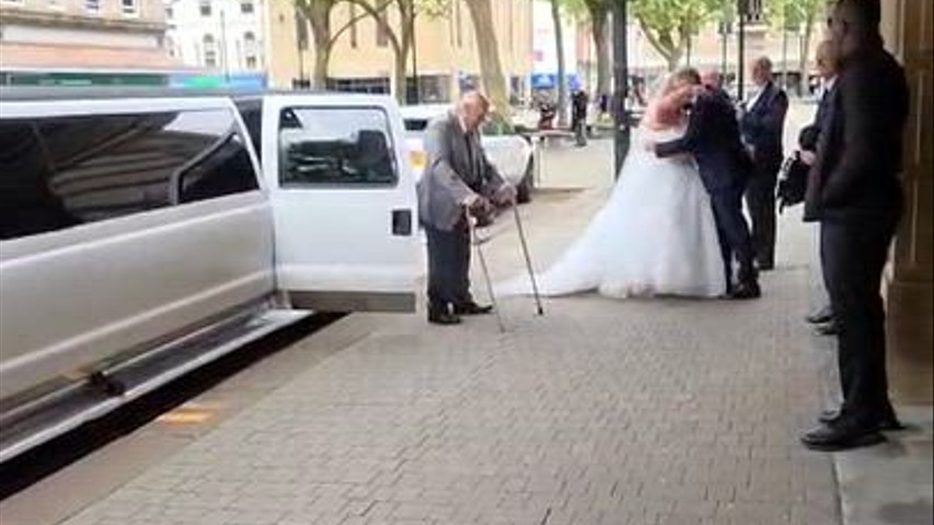 Wedding 
