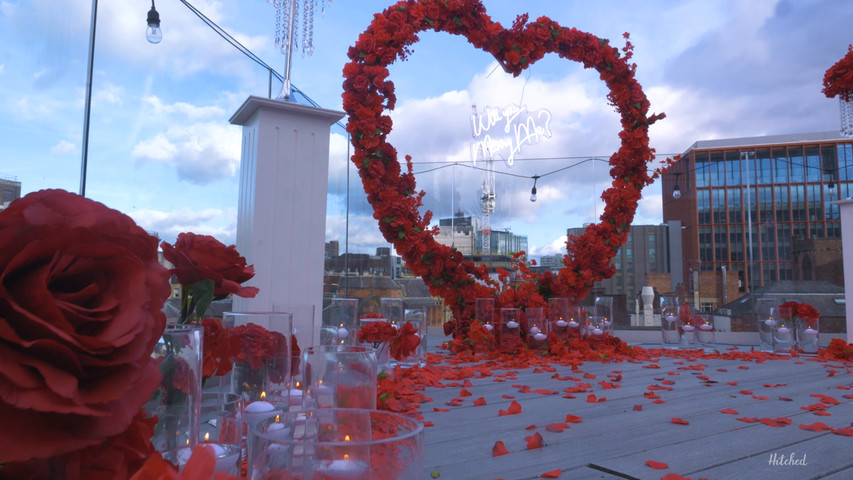 Proposal on the Roof 