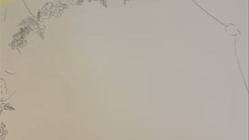 Live Ceremony Illustration