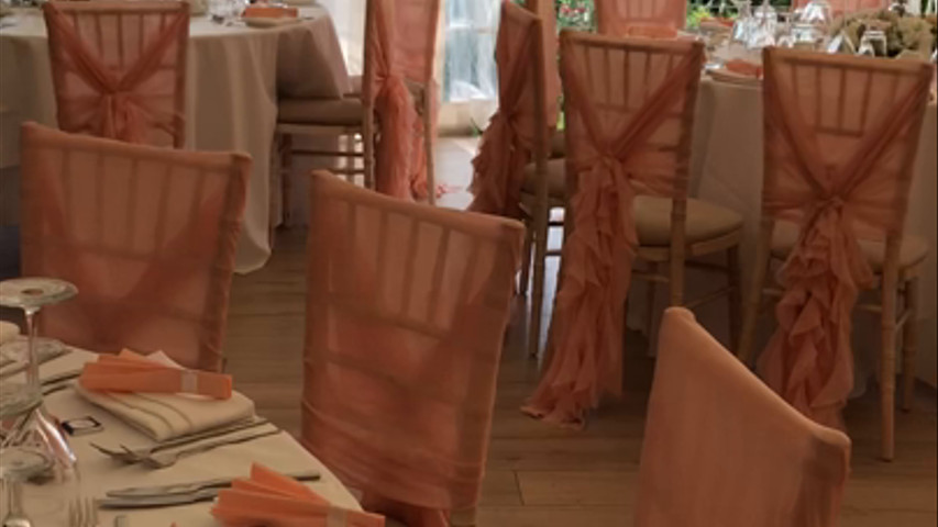 Looking good in blush pink 