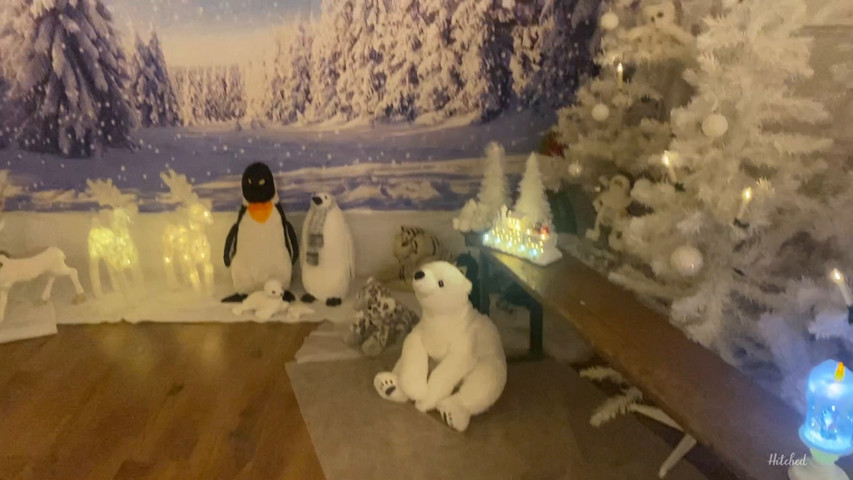 Our winter wonderland 
