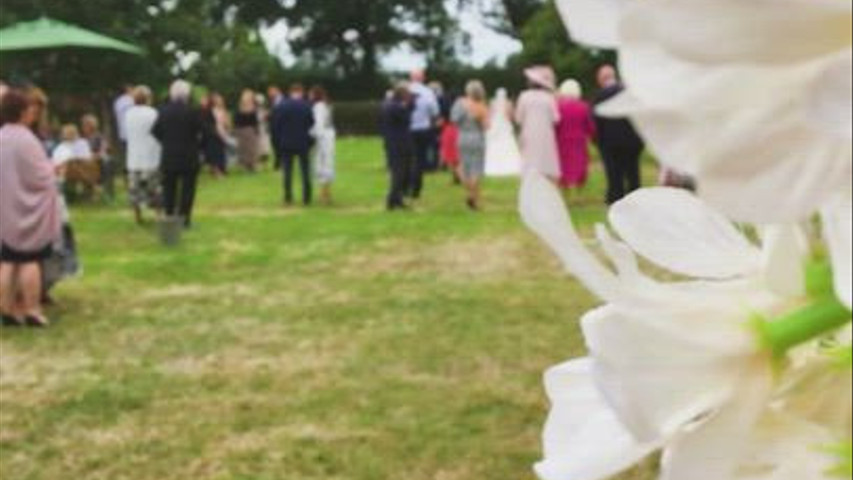 Wedding complilation