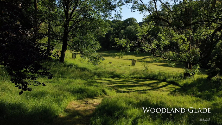 Ceremony Spaces at Boconnoc